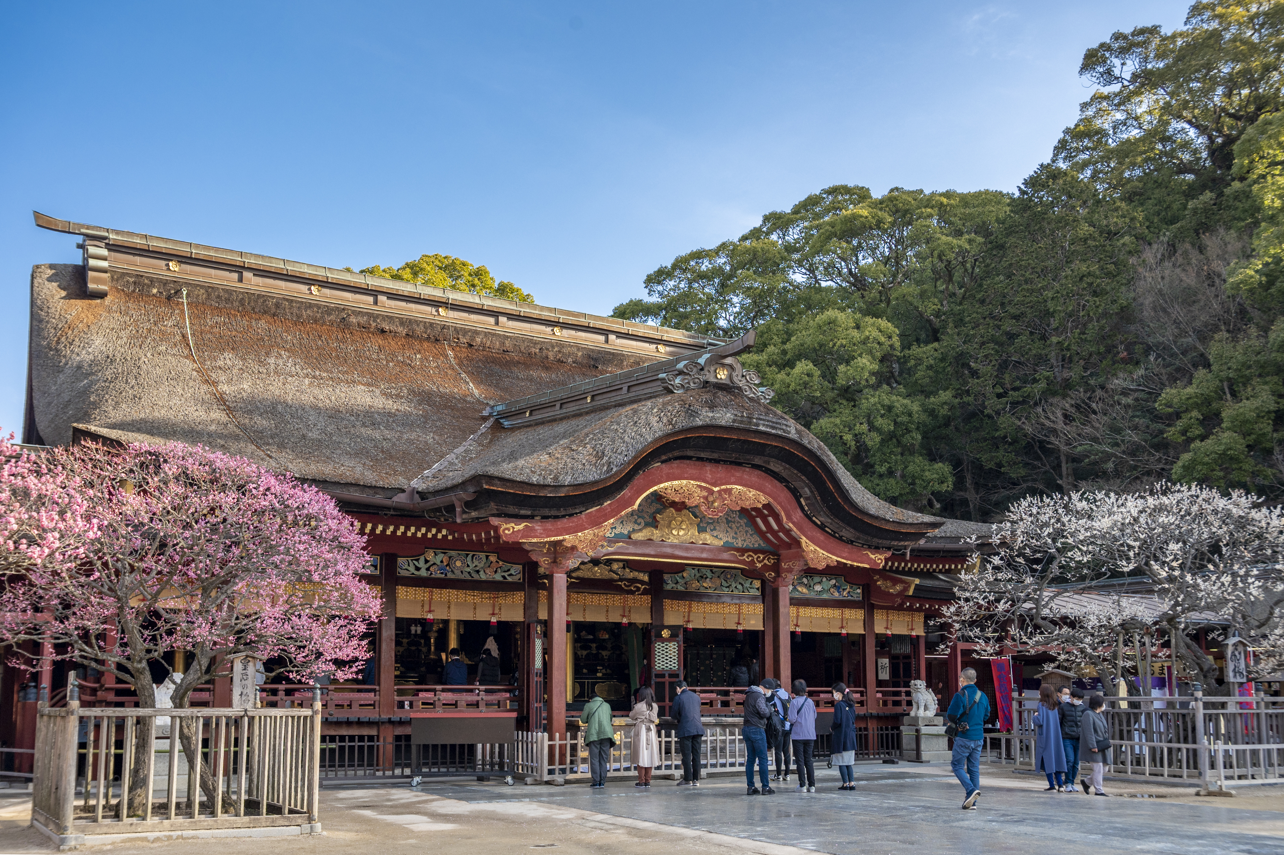 fukuoka